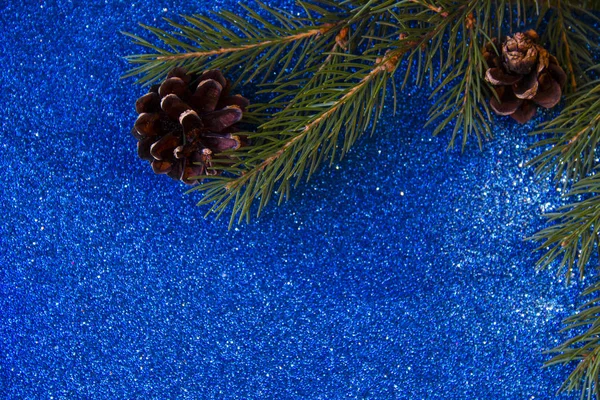 Tatil, kış ve kutlama kavramı. Noel ağacı koniler parlak mavi arka plan ve köknar dallar ile Noel ve yeni yıl kartı.