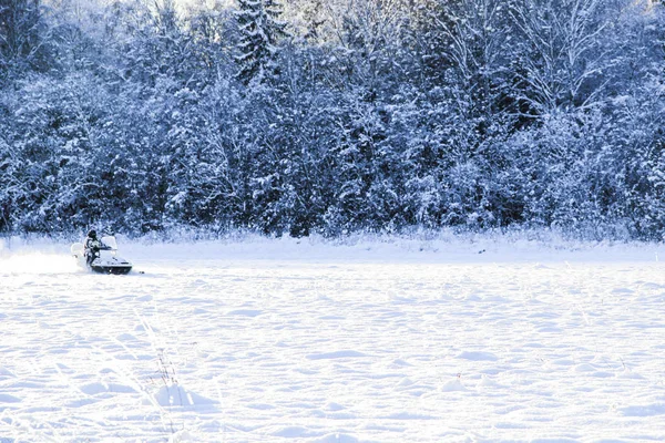 Homem Dirigindo Esportes Snowmobile Floresta Inverno Dia Nevado Pôr Sol — Fotografia de Stock