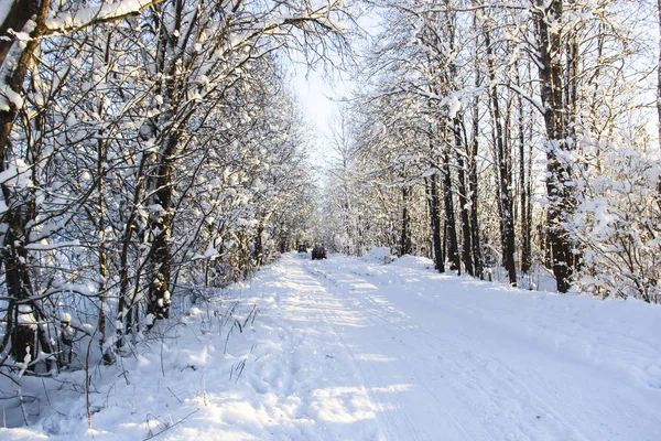 Natureza Paisagem Conceito Viagem Bela Paisagem Inverno Com Estrada Nevada — Fotografia de Stock