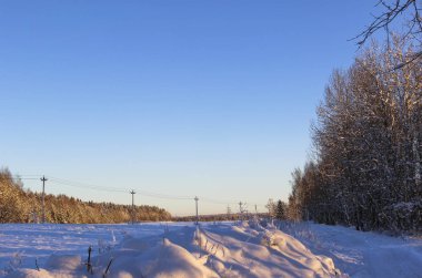 Doğa, manzara, gün batımında kavramı güzel kış manzara karla kaplı ağaçlar altında güneş ışığı ile yürüyüş. Kış orman, karlı Ladin, güneşli kış günü karlı yolda. Kış arka plan.