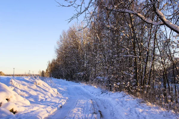 Natureza Paisagem Paisagem Inverno Conceito Bela Caminhada Com Árvores Cobertas — Fotografia de Stock