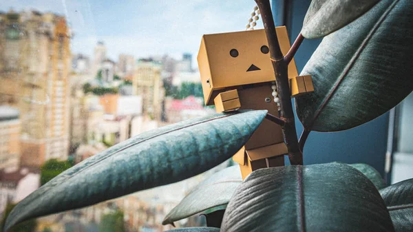 Danbo Yotsuba ofisinde.