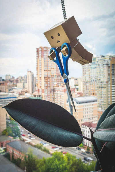 Danbo Yotsuba ofisinde.