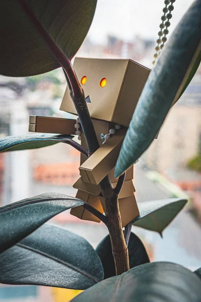 Danbo Yotsuba ofisinde.