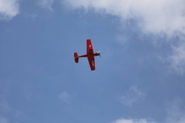 Dönüşte 52 Tibet sığırı