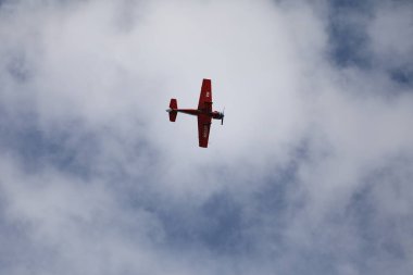   Dönüşte 52 Tibet sığırı