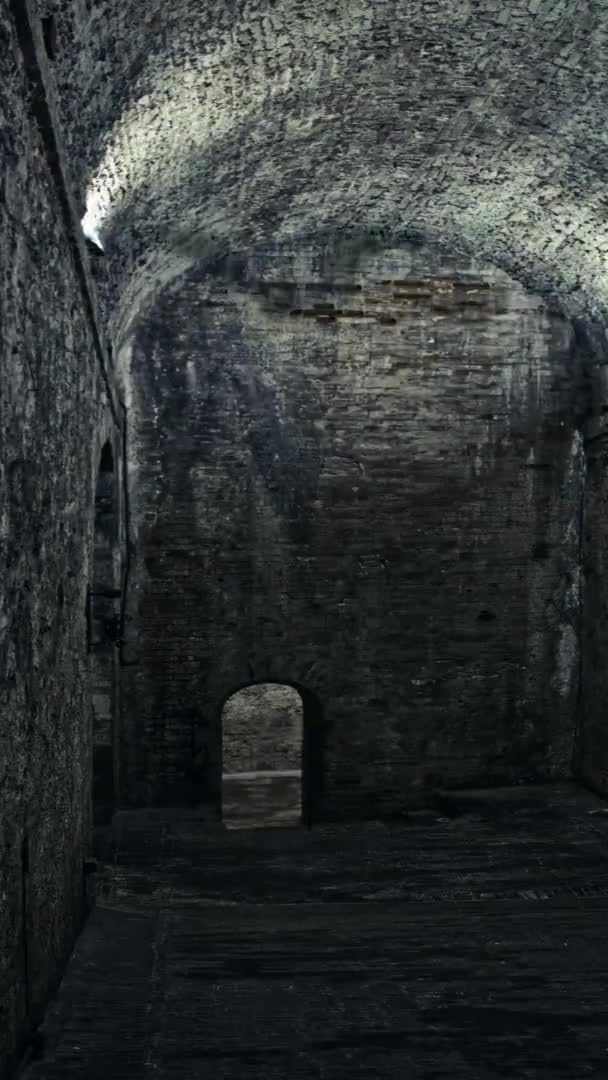 Dark dungeon, evil bats under the vault. dim sinister blue light at the bottom. — Stock Video