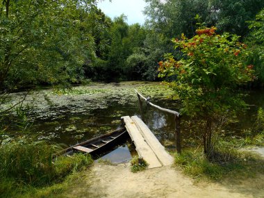 Bir su birikintisi bir ahşap tekne ve köprü, güvercin, kartopu yeşil ağaçlar arka planı kırmızı meyveler ile bir çalı ile