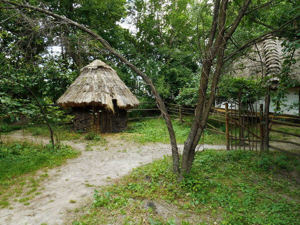 Hicken coop with a thatched roof on a background of green grass and trees, wicker fence