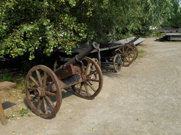 Ancient Cannon Background Green Trees — Stock Photo, Image