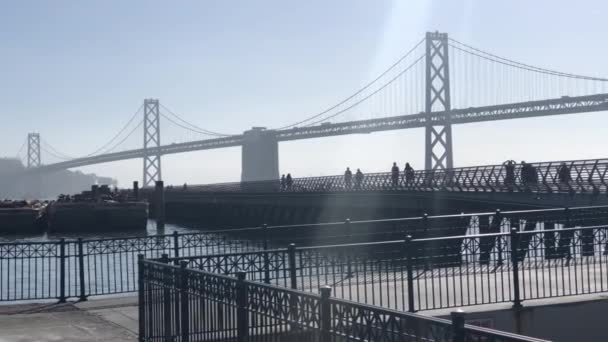 Okända Människor Promenader Längs Piren San Francisco Kalifornien — Stockvideo