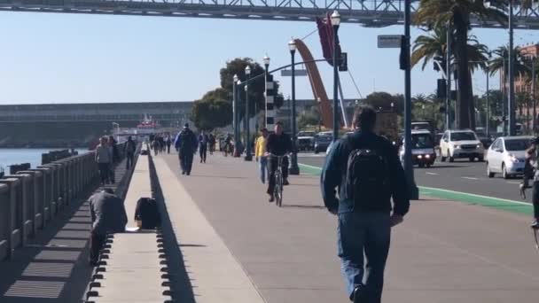 Many people walking along the sidewalk near Pier 14, San Francisco, California — Stock Video