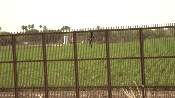 メキシコ国境の壁の後ろに手を振って黒旗 — ストック動画