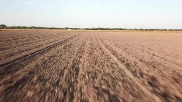 Drönare Som Flyger Över Torr Fältet — Stockvideo