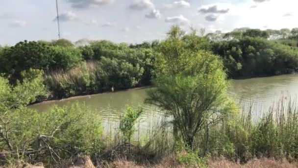 Rio Grande Nehri Yakınında Brownsville Texas Görünümünü — Stok video