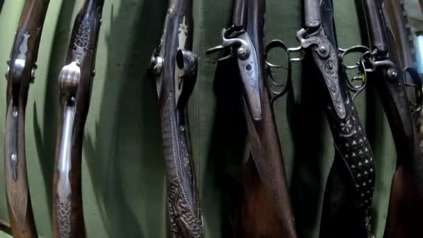 Collection Rifles Gun Shop Showcase — Stock Video