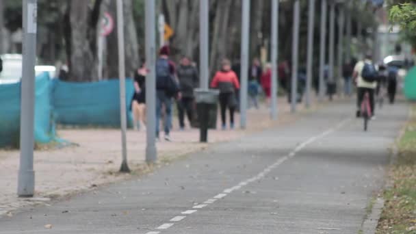 Bogota bisiklet yolu görünümünü — Stok video