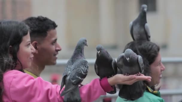 A family takes a picture with the pigeons in a square — Stock Video