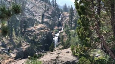 Güzel manzara ormandaki nehir akışının