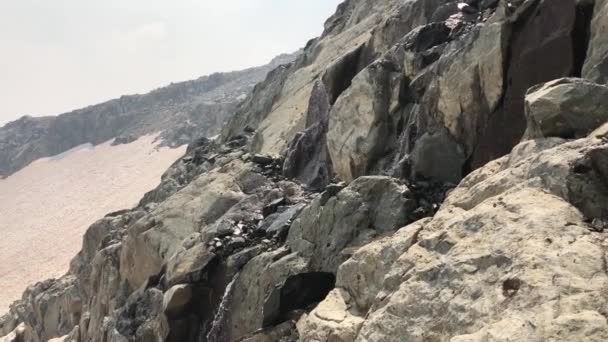 Belle Vue Sur Débit Rivière Dans Forêt Nationale — Video