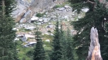 Güzel bir Ulusal Ormanı akışında nehir manzarası