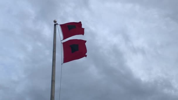 Bandera Huracán Ondeando Carolina Del Norte — Vídeo de stock