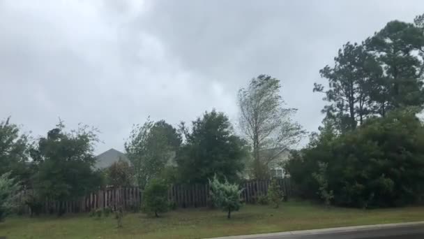 Fuertes Brisas Barrio Carolina Del Norte Durante Huracán Florence — Vídeo de stock