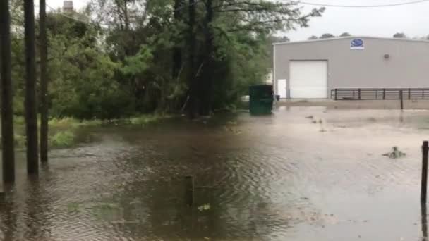 ハリケーンのフィレンツェの中にサーフ シティでの洪水 — ストック動画