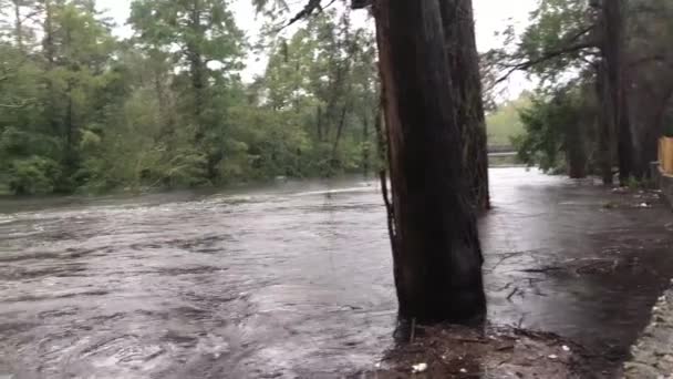 Rivière Débordant Sur Côte Est Pendant Ouragan Maria — Video