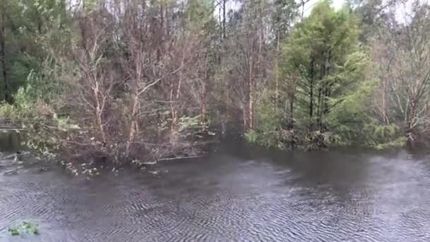 ノース カロライナ州であふれて川 — ストック動画