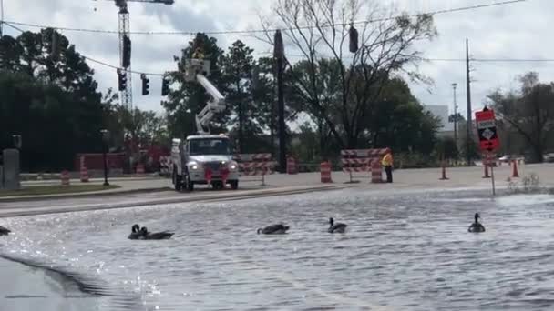 Rua Parcialmente Inundada Após Chuva — Vídeo de Stock