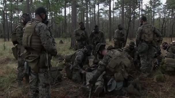 Grupo Soldados Realizando Rescate Durante Entrenamiento — Vídeo de stock