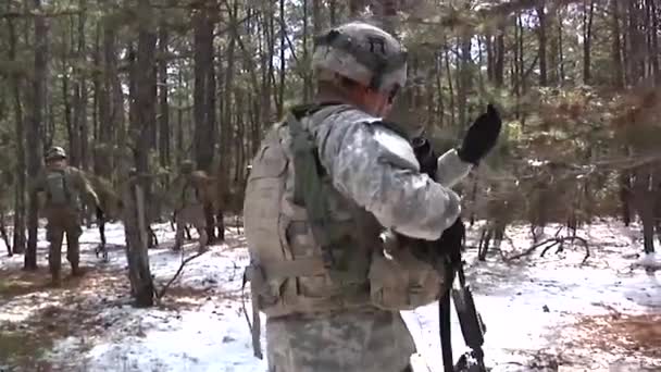 Grupo Soldados Estadounidenses Caminando Por Bosque Pinus — Vídeo de stock
