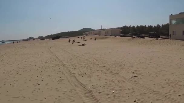 Tiro aéreo de un grupo de marines entrenando en la costa — Vídeos de Stock