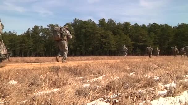 Soldados en su camino a la base en el bosque — Vídeo de stock