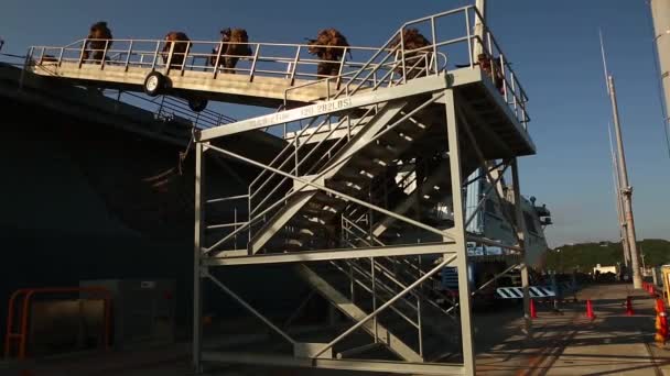 Soldater som går ombord på ett fartyg på trappan på piren — Stockvideo