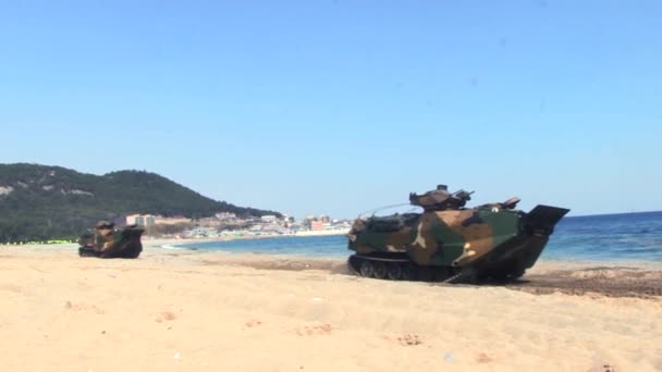 Vehículos anfibios militares que conducen en la playa — Vídeo de stock