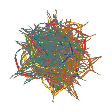 sonbahar yaprakları yaprakları