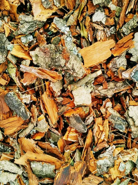 Woody wood chips bright textured photo