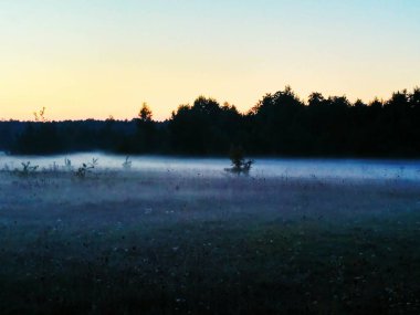 Gerçeküstü puslu arka plan