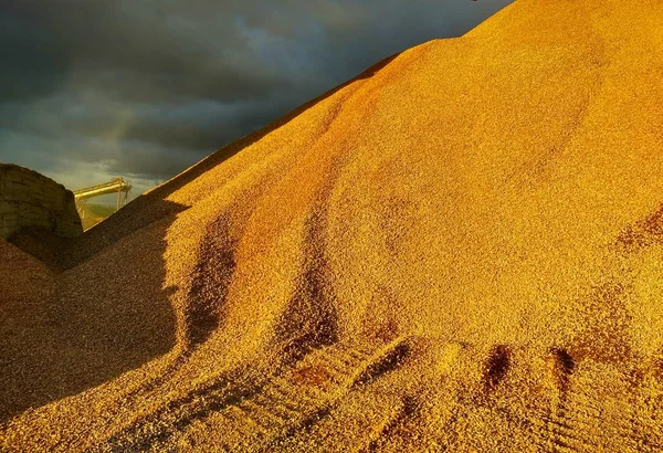 Atmosferik çöl manzarası