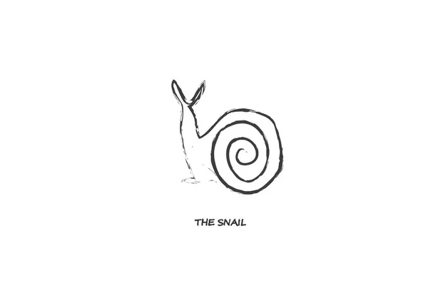 La ligne Une escargot — Image vectorielle