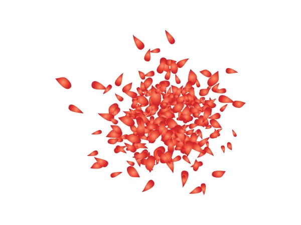 Petali per la posa Confetti originali — Vettoriale Stock