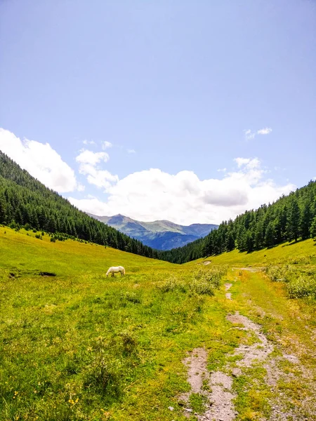 Parque Nacional de Tusheti — Fotografia de Stock