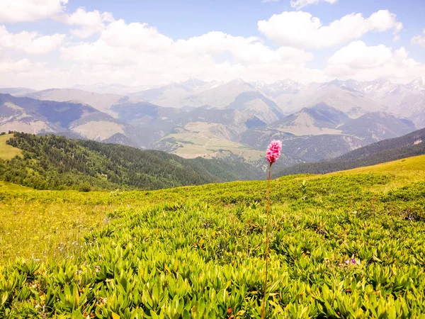 Parque Nacional de Tusheti — Fotografia de Stock