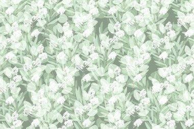 Okaliptüs, pürüzsüz bir desen. Çiçek kumaşı. 