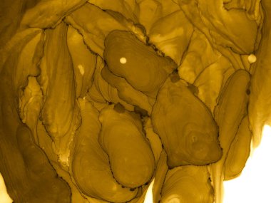 Lüks Alkol Mürekkebi. Çin Mürekkebi 