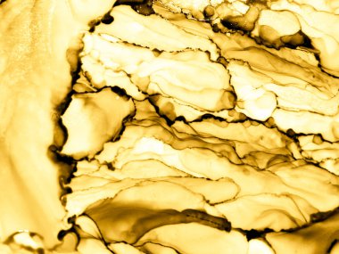 Parlak Alkol Mürekkebi Sanatı. Mürekkep Boyası Özeti. 