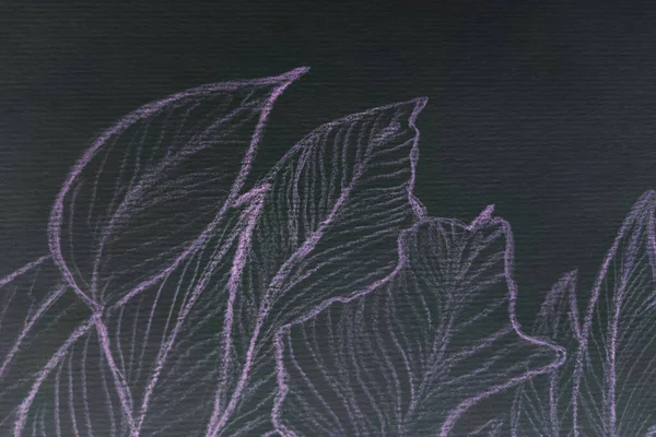 Mystical Botanical Sketch.  Black Color Pattern