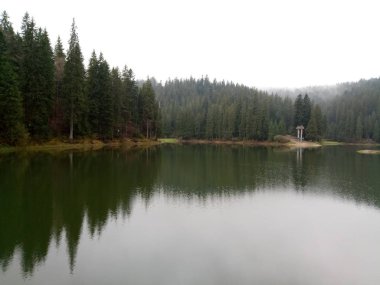 Gizemli Gölü Synevyr. Ukraynalı Karpatlar